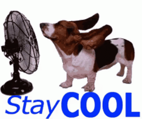 stay-cool.gif